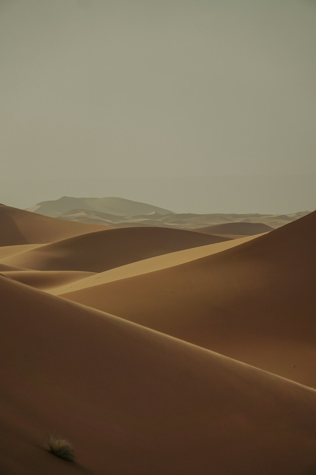 Golden sand dunes in a sunlit desert landscape